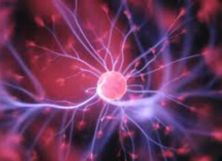 god-particle