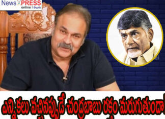 nagababu sensational comments on cm chandrababu naidu