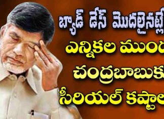 chandrababu vs yv subbareddy