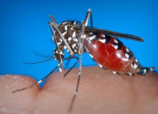 West Nile Virus in Treating Kerala , Newsxpressonline