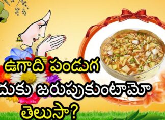 ugadi festival