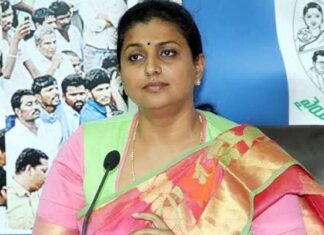 Roja Latest News, YCP Leader News, AP Assembly Latest News, Newsxpressonline