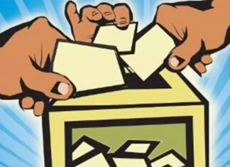 AP Political News, AP Election News, AP Votes Counting News, Newsxpressonline