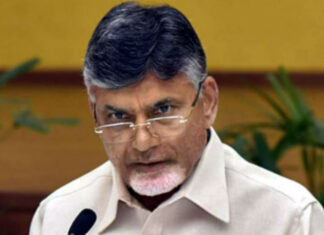 tdp-chief-chandrababu-naidu