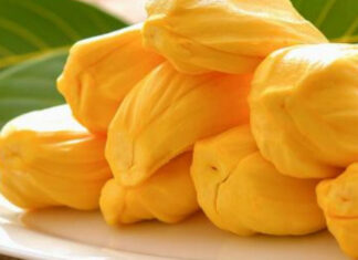 Seasonal and Healthy Fruit - Jack Fruit