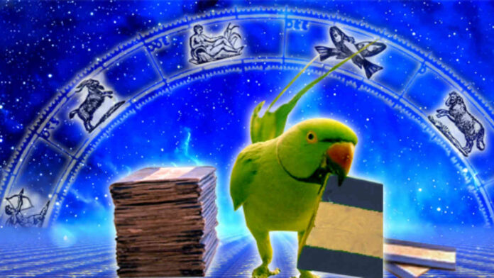parrot-astrology