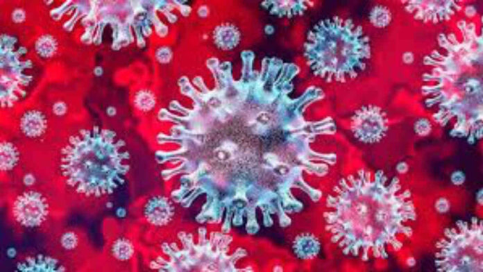 covid-19-corona-virus 104-positive-cases-jewellery-store-becomes-covid-19-hotspot-in-tamil-nadu