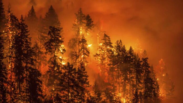 wildfire-in-washington-state